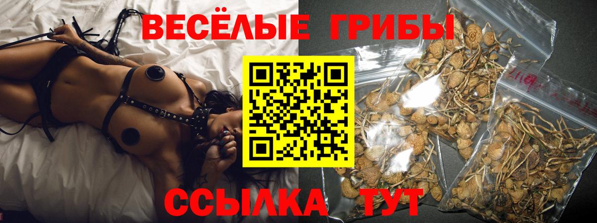 Еманжелинск  Галлюциногенные грибы мухоморы  Псилоцибиновые грибы мицелий  Вход с VPN 